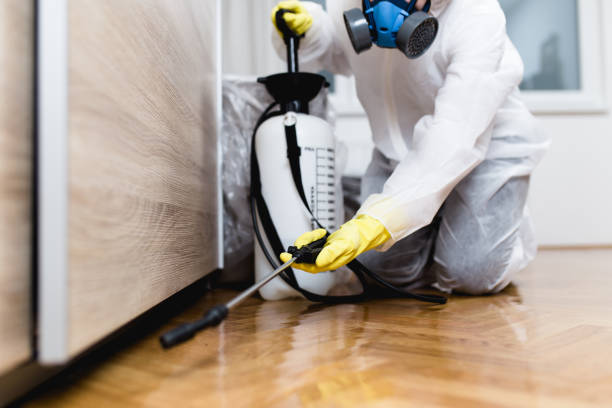 Pest Control Cost in Ludowici, GA