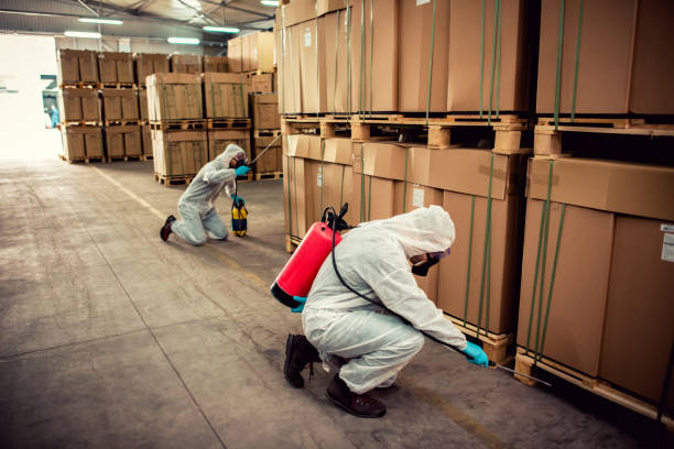 Best Emergency Pest Control  in Ludowici, GA