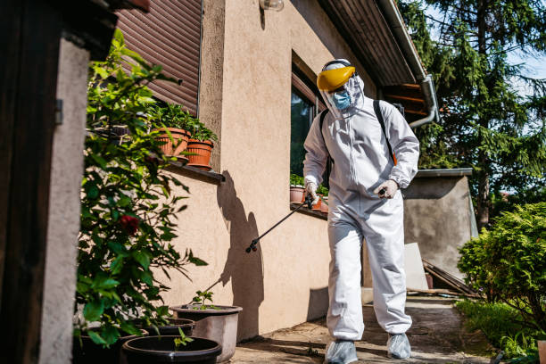 Best Flea Control Services  in Ludowici, GA