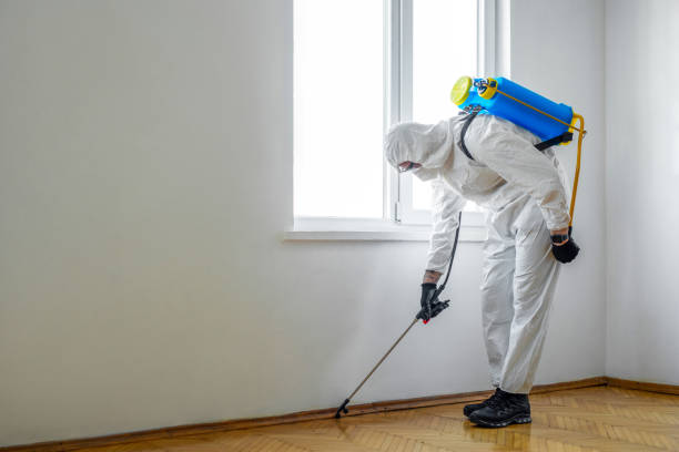Reliable Ludowici, GA Pest Control Solutions