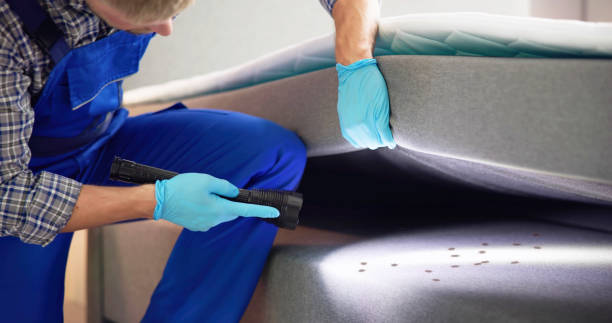 Best Termite Control Services  in Ludowici, GA