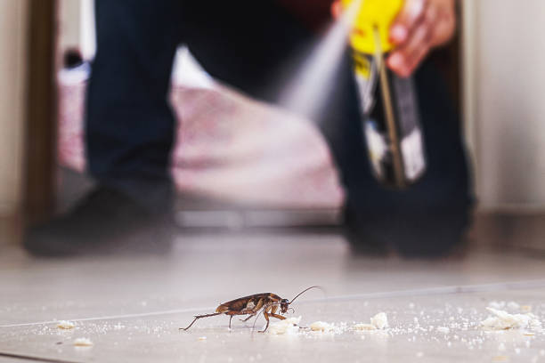 Best Wildlife Control Services  in Ludowici, GA