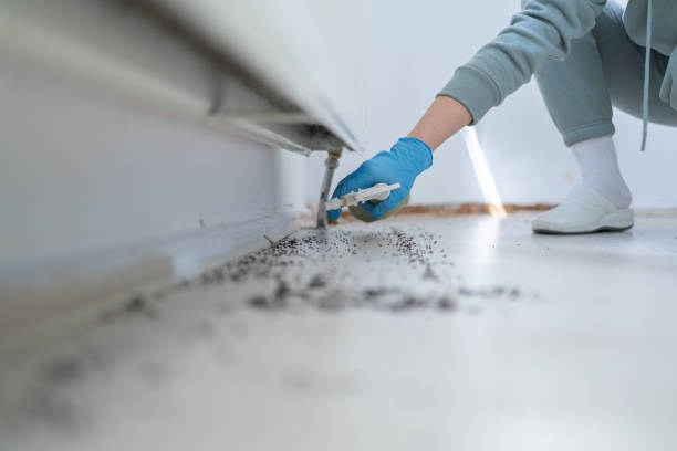 Best Pest Control for Restaurants  in Ludowici, GA
