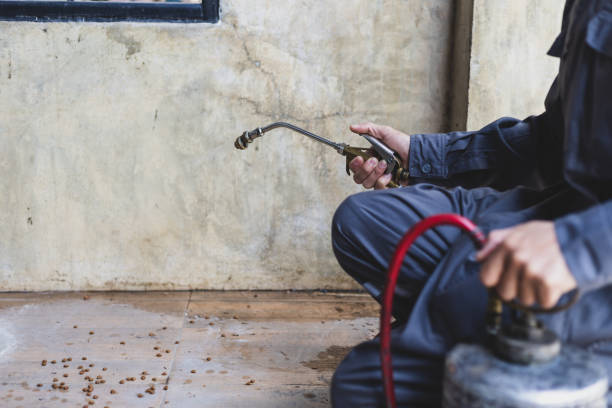 Best Pest Removal Services  in Ludowici, GA